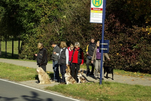 Eleany bei Teil II der Begleithundeprüfung 