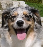 "Sweet Chili" (Nala)