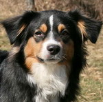 "Little Ciskye" (Skye)