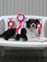 "Paws on Heaven's Sweet Bonjosy"