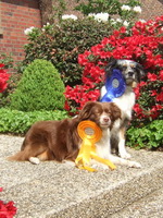 Belina und Raydar als Agility-Sieger