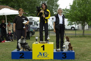 DVG Agility-Landesverbandsmeisterschaft 2011