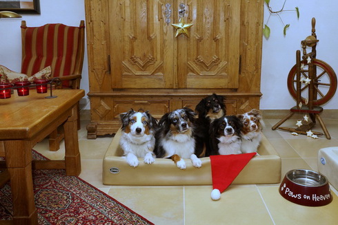 Frohe Weihnachten!