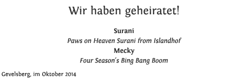 Hochzeitsanzeige Surani & Mecky