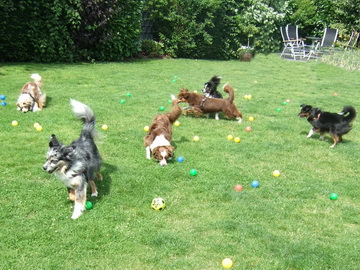 Ballspiele im Garten