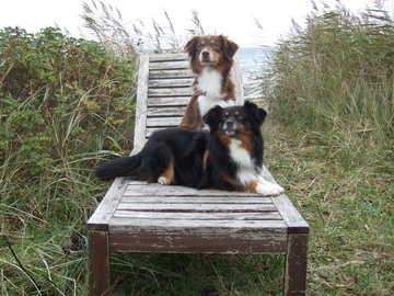 Iveen und Kayana mit Meerblick