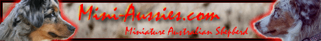 Banner Mini-Aussies.com