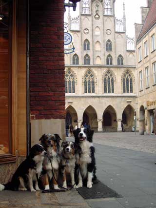 Stadtbummel in Münster