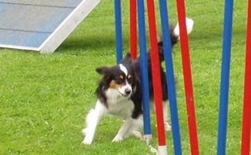 Agility is fun!