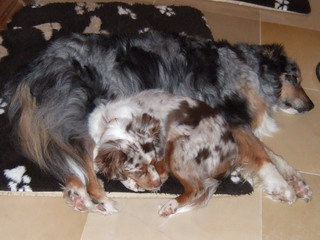 Lizzy und Eleany (Dezember 2010)