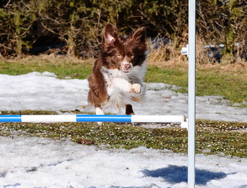 Raydar beim "Snowgility"