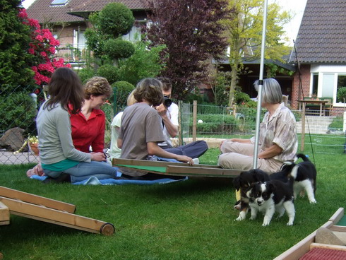 Gartenparty im Welpenauslauf