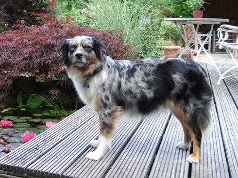 Belina in Umständen