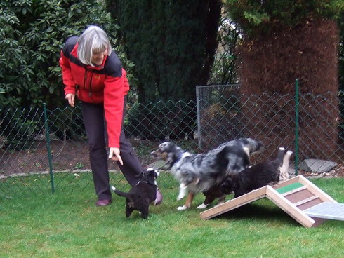 Frauchen mit Belina und allen Welpen