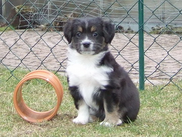 "Good Girl" mit dem kleinen Rohr