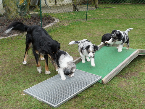 Surani spielt mit ihren Babys