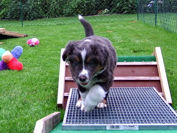 JAMY auf der Gitterbrücke