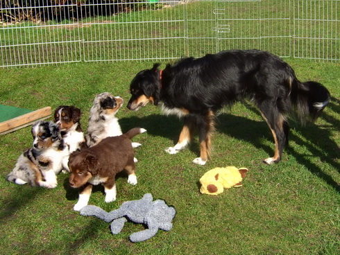 Surani macht ihre Babys startklar