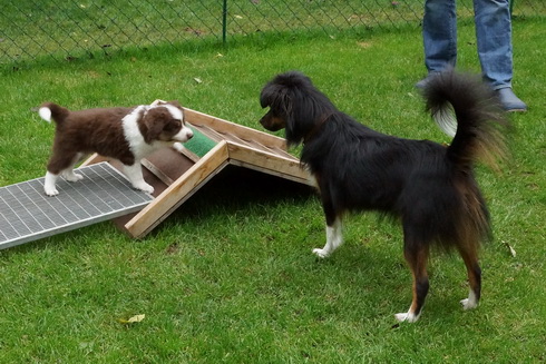 Einzeltraining mit KAYANA