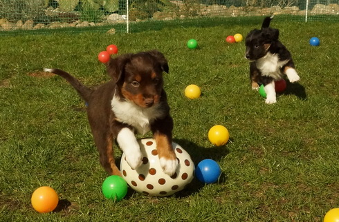 Aaron und Malou bei unserer "Osteraction"